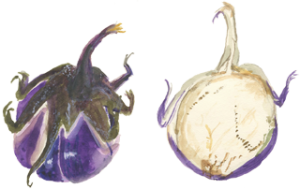 Eggplant1